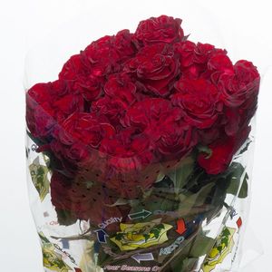 ROSE HEARTS 60